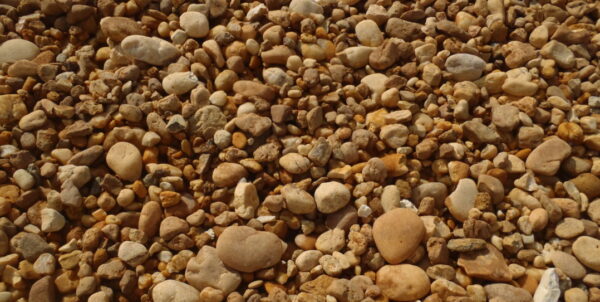 Egg Rock Brown