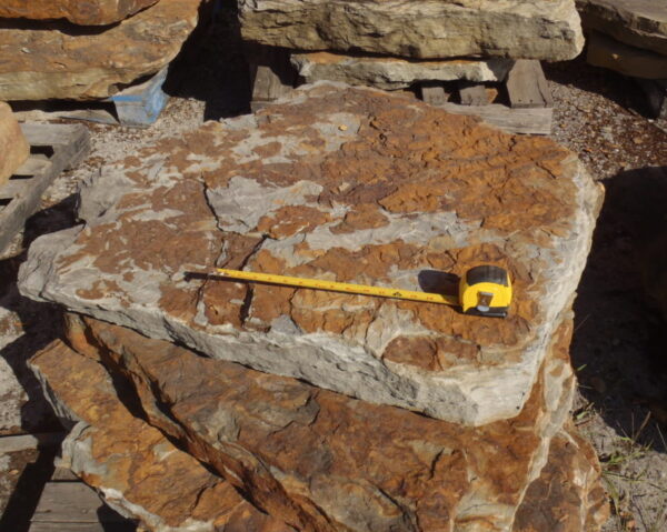 Ledge Rock