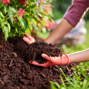 Landscape Materials